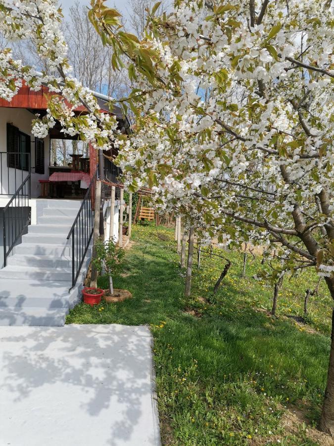 Villa Marijana 瓦拉日丁托普利采 外观 照片
