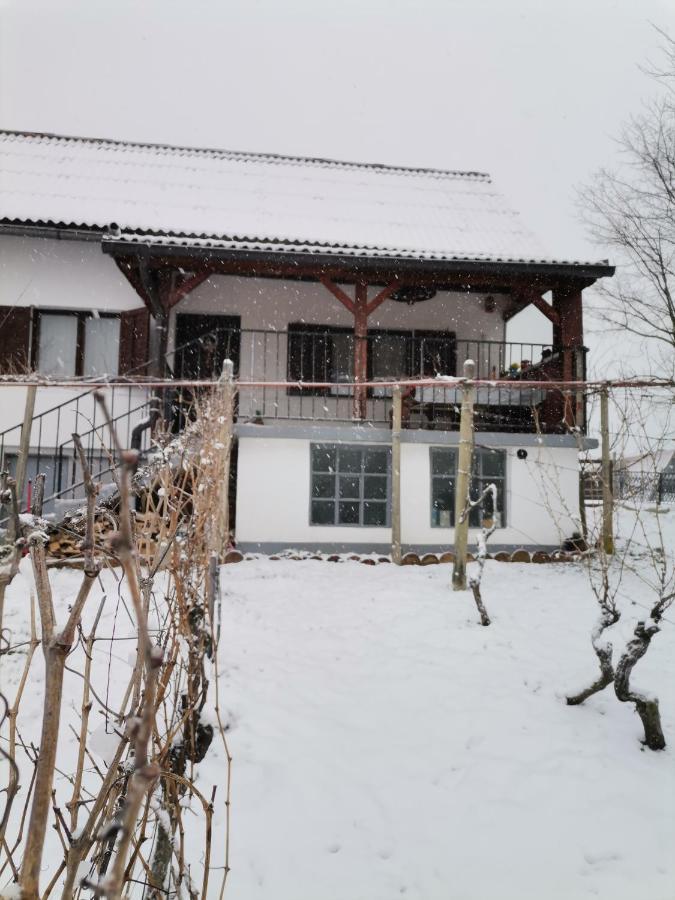 Villa Marijana 瓦拉日丁托普利采 外观 照片